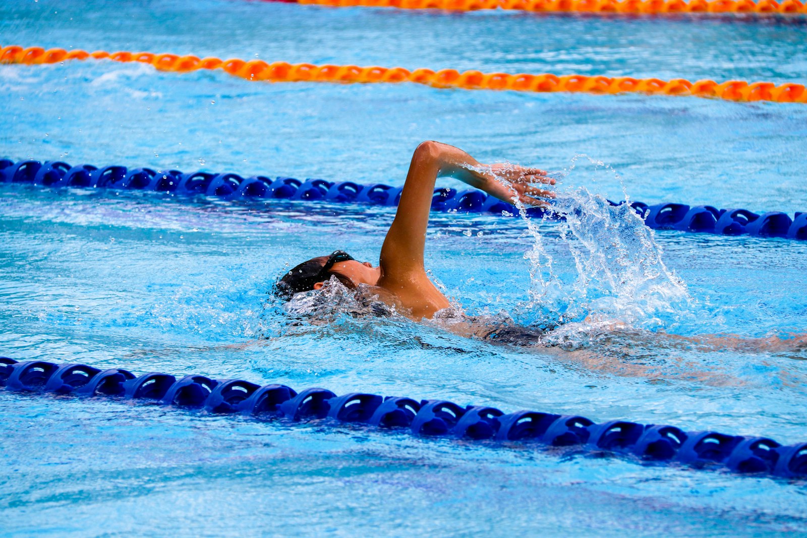 Ein Schwimmer zieht seine Bahnen in einem Wettkampfbecken